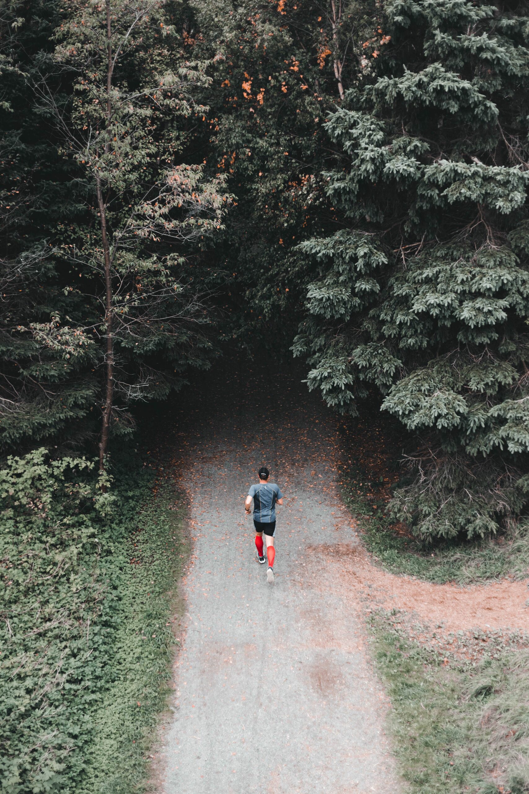Coureur dans une belle forêt